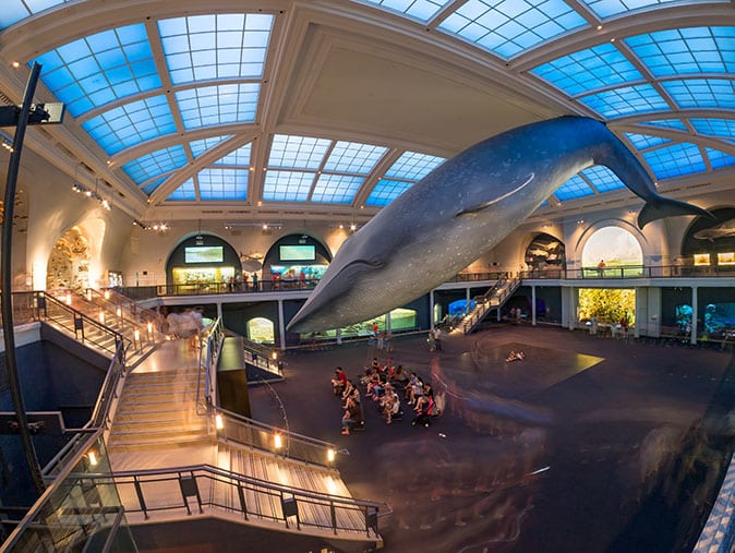 Americké muzeum přírodní historie v New Yorku