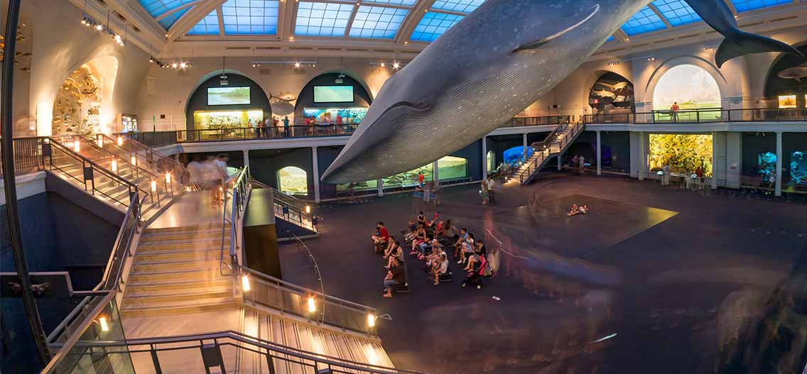 Americké muzeum přírodní historie New Yorku