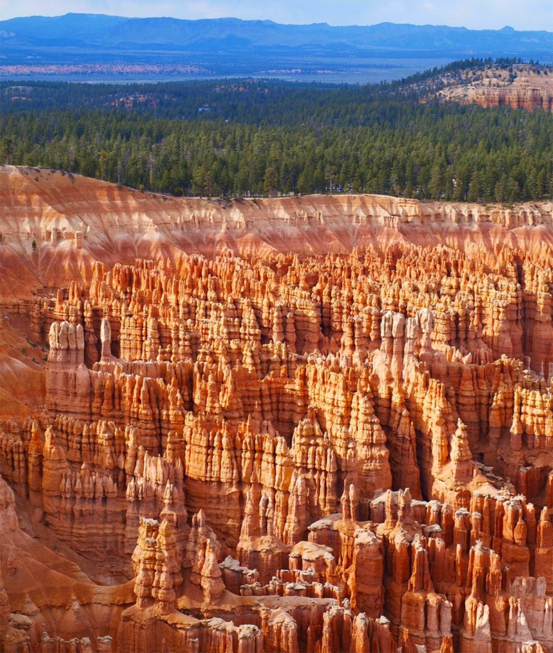 Brace Canyon