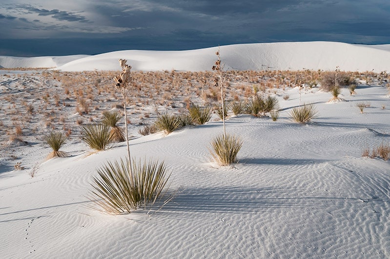White Sands New Mexico