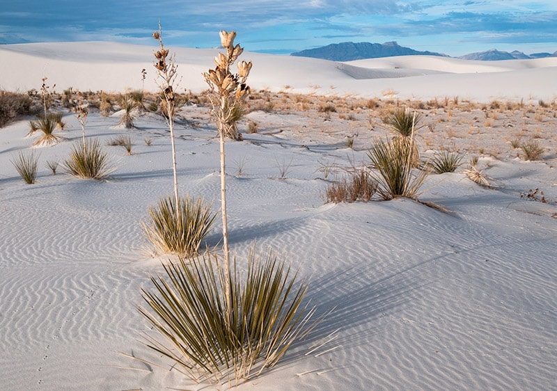 White Sands New Mexico