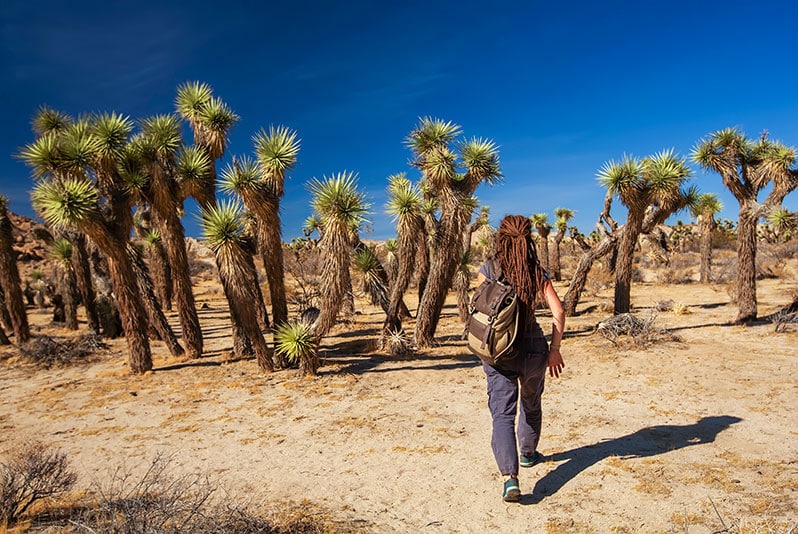Turistika v parku Joshua Tree
