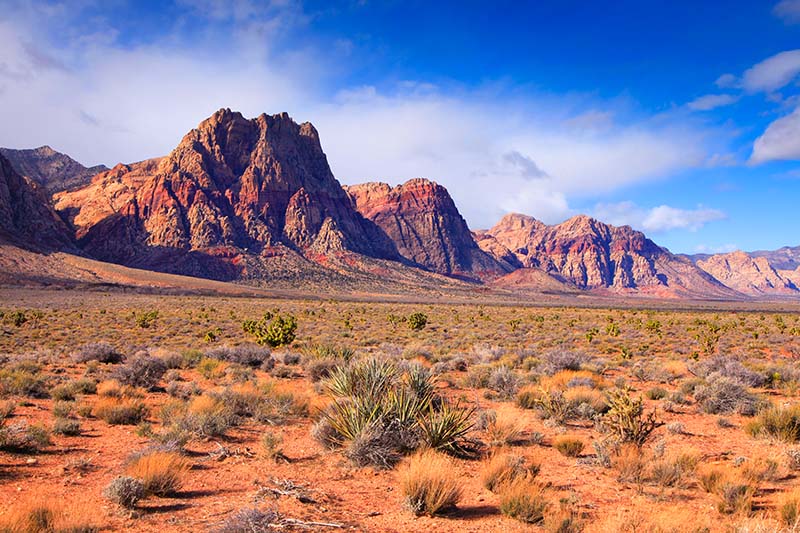 Red Rock Canyon