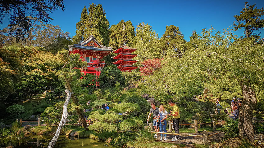 Japonská zahrada v Golden Gate parku
