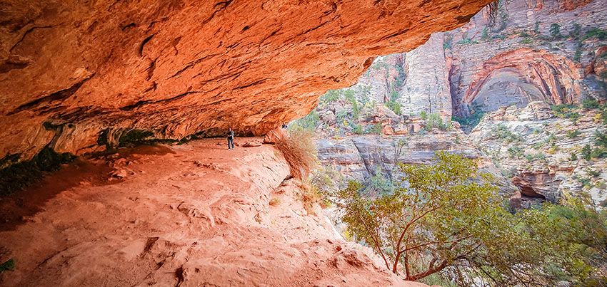 Stezka Canyon Overlook v Zionu