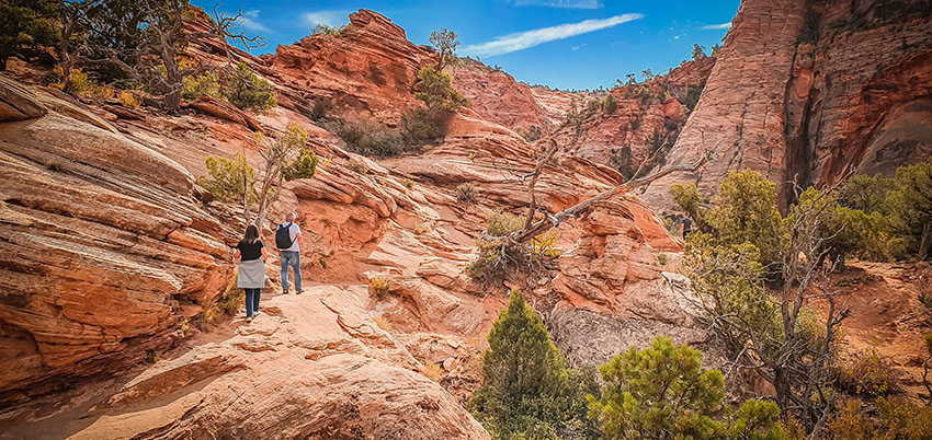 Stezka Canyon Overlook v Zionu