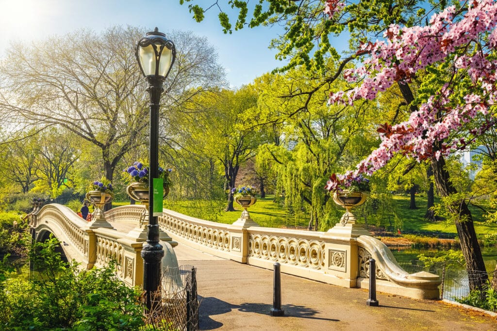 Bow Bridge Central Park v New Yorku