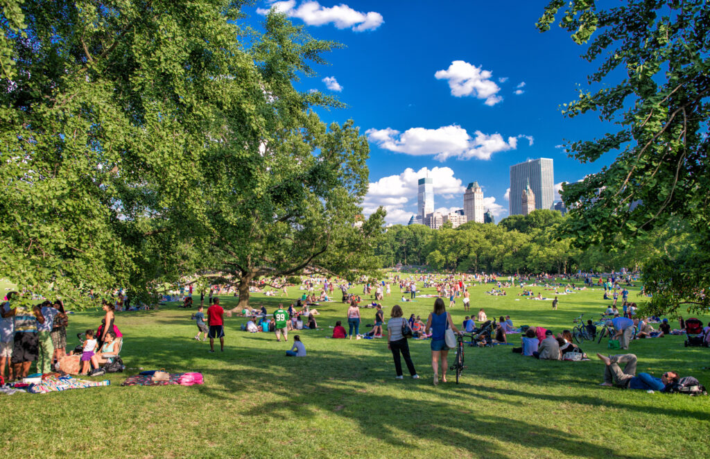 Central Park v New Yorku